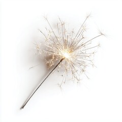 Burning Sparkler on White Background