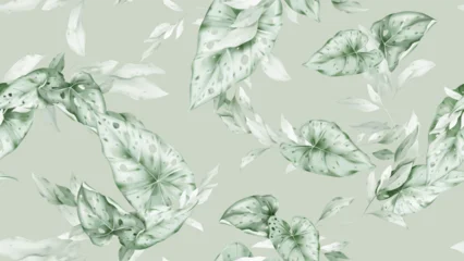 Gordijnen Bladeren Botanical seamless pattern featuring watercolor-style soft green Caladium and long leaves on a soft green background  © momosama