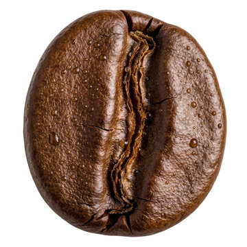 Gleaming coffee bean with dewdrops