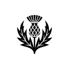 Black and white silhouette of a scottish thistle emblem