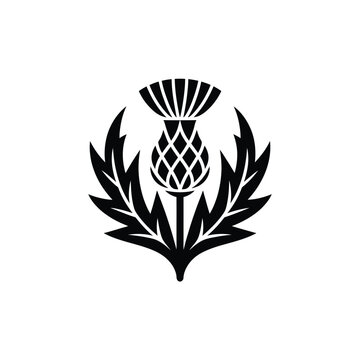 Black and white silhouette of a scottish thistle emblem