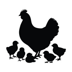 Silhouette of a mother hen with her chicks on a white background