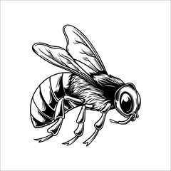 honey bee silhouette vector hand drawn