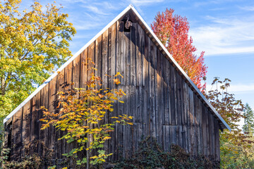 old barn in autumn