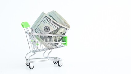 Shopping Cart Filled with Money Isolated on White Background, Financial Concept. Modern Look