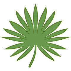 A Single Green Palm Leaf with a Transparent Background and Delicate Outline Perfect for Tropical or Nature Themed Designs