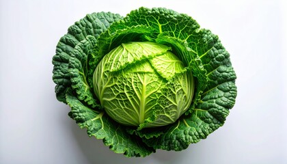 Organic cabbage