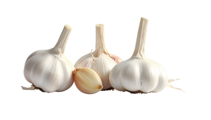 Three garlic bulbs and one clove resting side-by-side against a black backdrop, illuminated softly