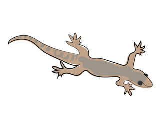 Lizard in continuous line drawing style