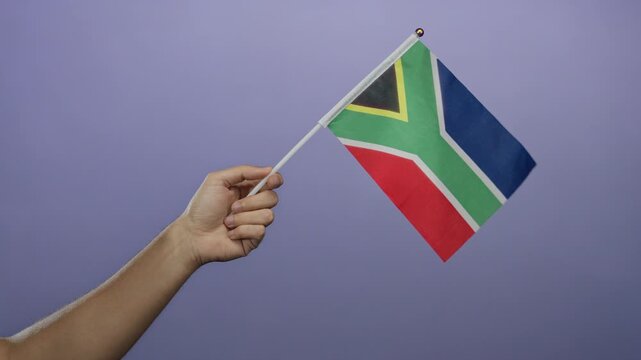 Hand holding south african flag against purple wall, showing the flag's vibrant colors with a male hand in focus, isolated on a simple background.