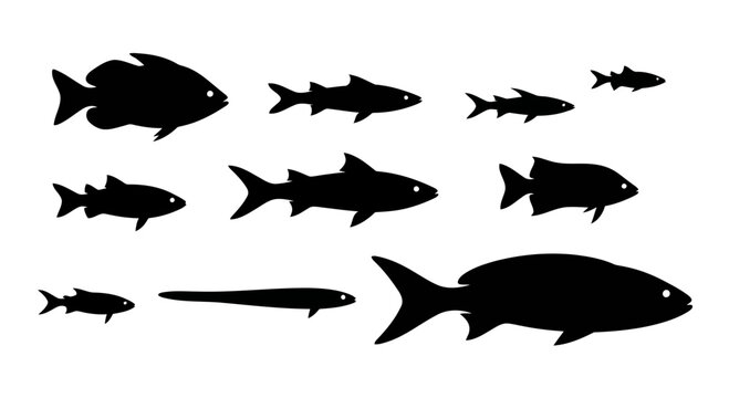 Vector art of a collection of various fish silhouettes swimming in different directions