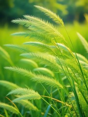 Tall green grass swaying in the wind around a slender plant with bright green leaves