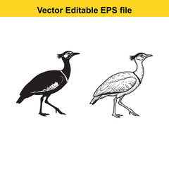 Obraz premium Vector art of silhouette and detailed drawing of a bustard bird in a walking pose