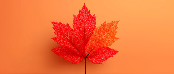 Autumn maple leaf vibrant fall foliage seasonal change orange background