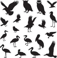 Wild Birds Silhouette Vector Set