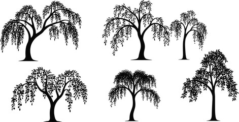 Willow tree silhouette collection, botanical illustration, drooping branches, landscape design element, nature symbol, decorative foliage art, black vector tree set © VectoBloom