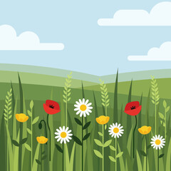 Summer Landscape with Poppies and Daisies in a Green Field.