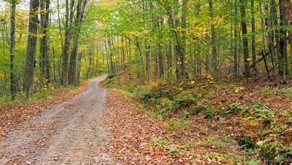 Single lane dirt road in the country, through a forest, with Autumn leaf color in the trees and in the fallen leaves on the side of the road. Empty, lonely mood.