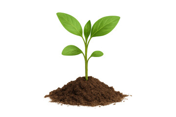 Young plant seedling growing in rich soil, symbolizing new life, sustainable ecology, and environmental care