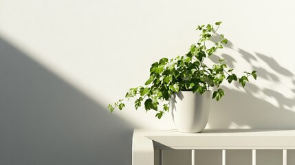 Obraz premium 70.A modern minimalist balcony scene featuring a stylish pot of English ivy, its delicate green leaves contrasting against a clean white railing, bathed in soft natural light.