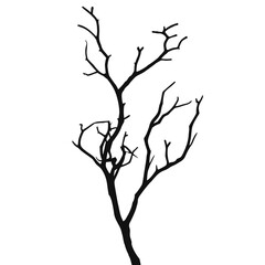 Silhouette of Dry Branches