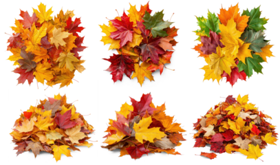 A collection of colorful autumn leaves arranged in a circular pattern.