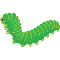 Green Caterpillar with Segments and Small Legs on White Background