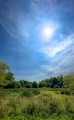A tranquil scene showcasing an abundance of lush greenery and vibrant blue skies illuminated by a bright sun