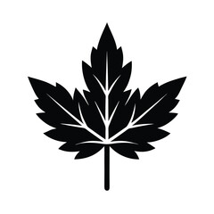 Water Hemlock Leaf Icon Vector Illustration