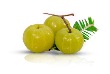 Flat lay of Amla (Indian gooseberry) powder with fresh fruits isolated on white background. Herbal