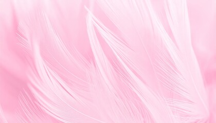 A beautiful close-up texture of soft pink feathers creates a fluffy fashion pattern with a rose color and a delicate light design for a valentine card decoration