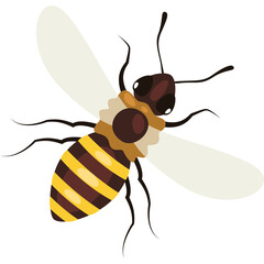 Stylized Honey Bee With Yellow and Brown Stripes and Translucent Wings Isolated on White Background