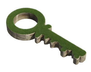 Unlock sustainable solutions with this unique grass key concept symbolizing growth and environmental innovation