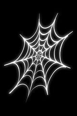 spider on black background