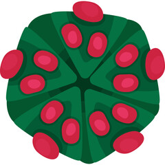 Abstract Macro View of Green Plant with Red Oval Petals or Buds Against a Transparent Background