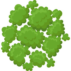Aerial View Of Lush Green Trees In A Circular Arrangement Isolated On A White Background With A Transparent Effect Suitable For Digital Graphics