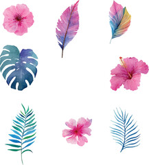 Watercolor Tropical Botanical Collection