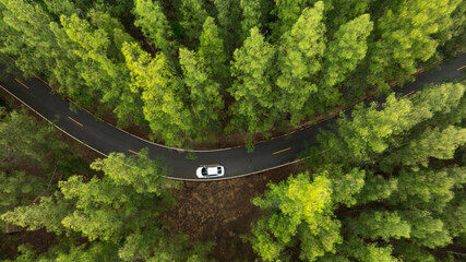 Aerial view of dark green forest road and white electric car Natural landscape and elevated roads Adventure travel and transportation and environmental protection concept	
