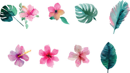 set of watercolor flowers