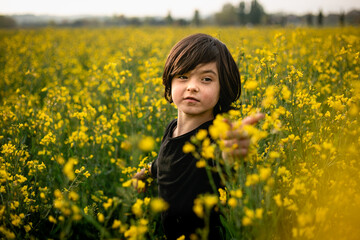 Fototapeta premium dark haired small girl standing in a vast yellow blooming field