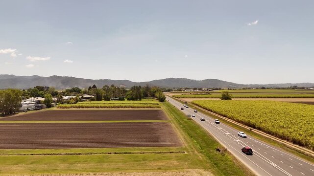 Cane farms in Australia on a sunny day