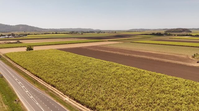 Drone footage panning across the Tweed Valley Way near cane fields in northern New South Wales