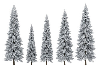 Obraz premium A row of five snow covered pine trees of varying heights isolated on transparent background