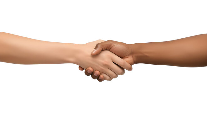 Professional handshake between diverse business partners symbolizing cooperation, trust, and successful agreement. isolated PNG with Transparent Background - Powered by Adobe