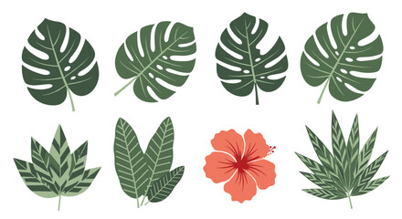 Set of isolated tropical leaves and a single hibiscus flower.