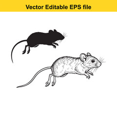 Vector art of two mice, one black silhouette and one detailed drawing