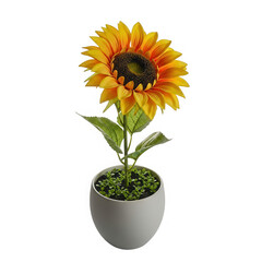 3d realistic sunflower in a pot isolated on transparent background