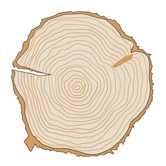 나무단면나이테