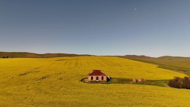 Midnight Oil House, Burra, South Australia &ndash; 4K Drone Footage Featuring Iconic Heritage Cottage in Yellow Canola Fields and Rolling Farmland near Barrier Highway