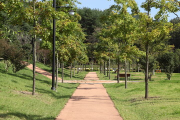 Symmetrical Tree-Lined Park Path with Lampposts - Urban Nature Walkway